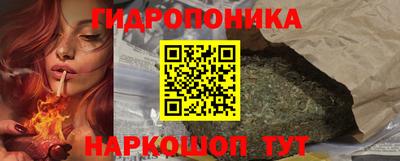 шишки Будённовск