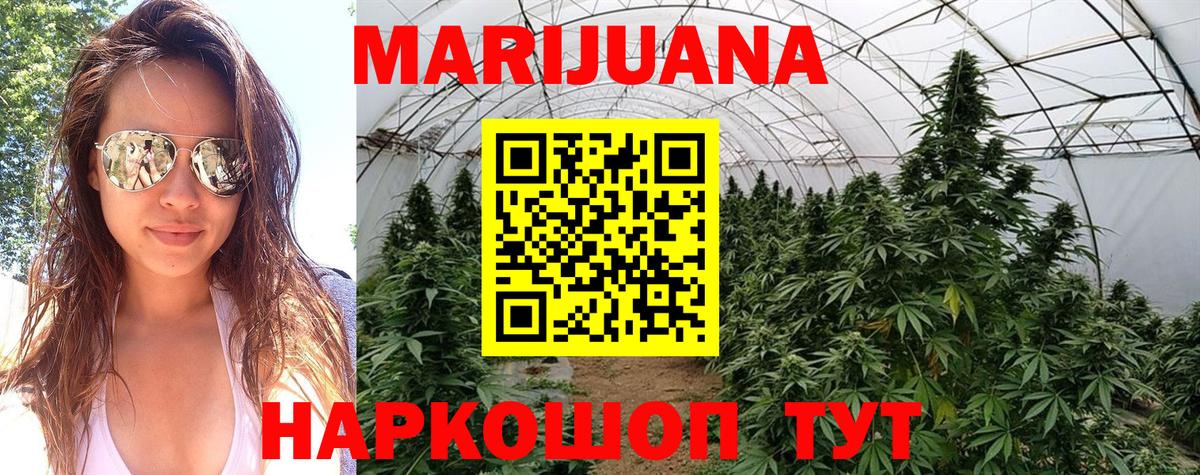 Бошки Шишки гибрид Кулебаки